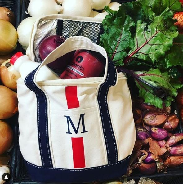 Insulated Lunch Cooler Boat Tote Vinyl Monogram Stripes